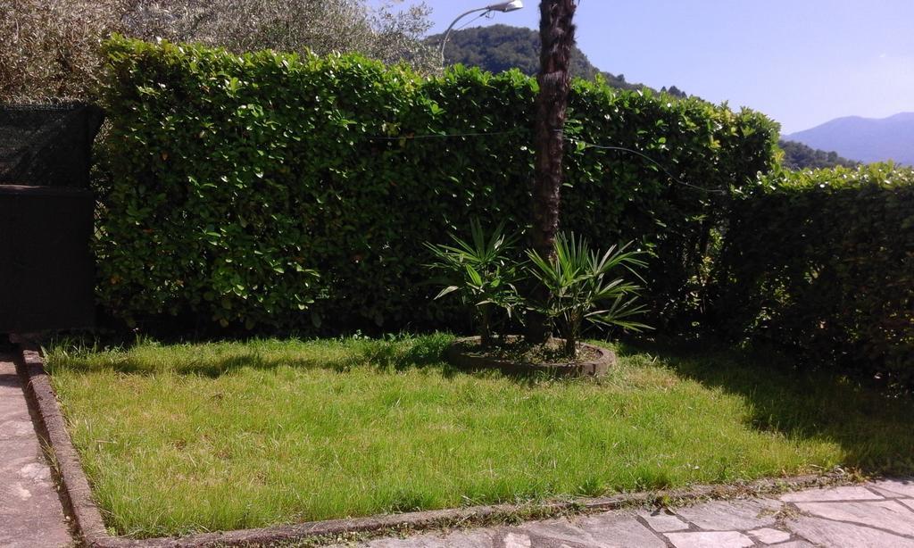 Le Palme House Rifugio Romantico & Late Check-Out Perledo Exterior photo